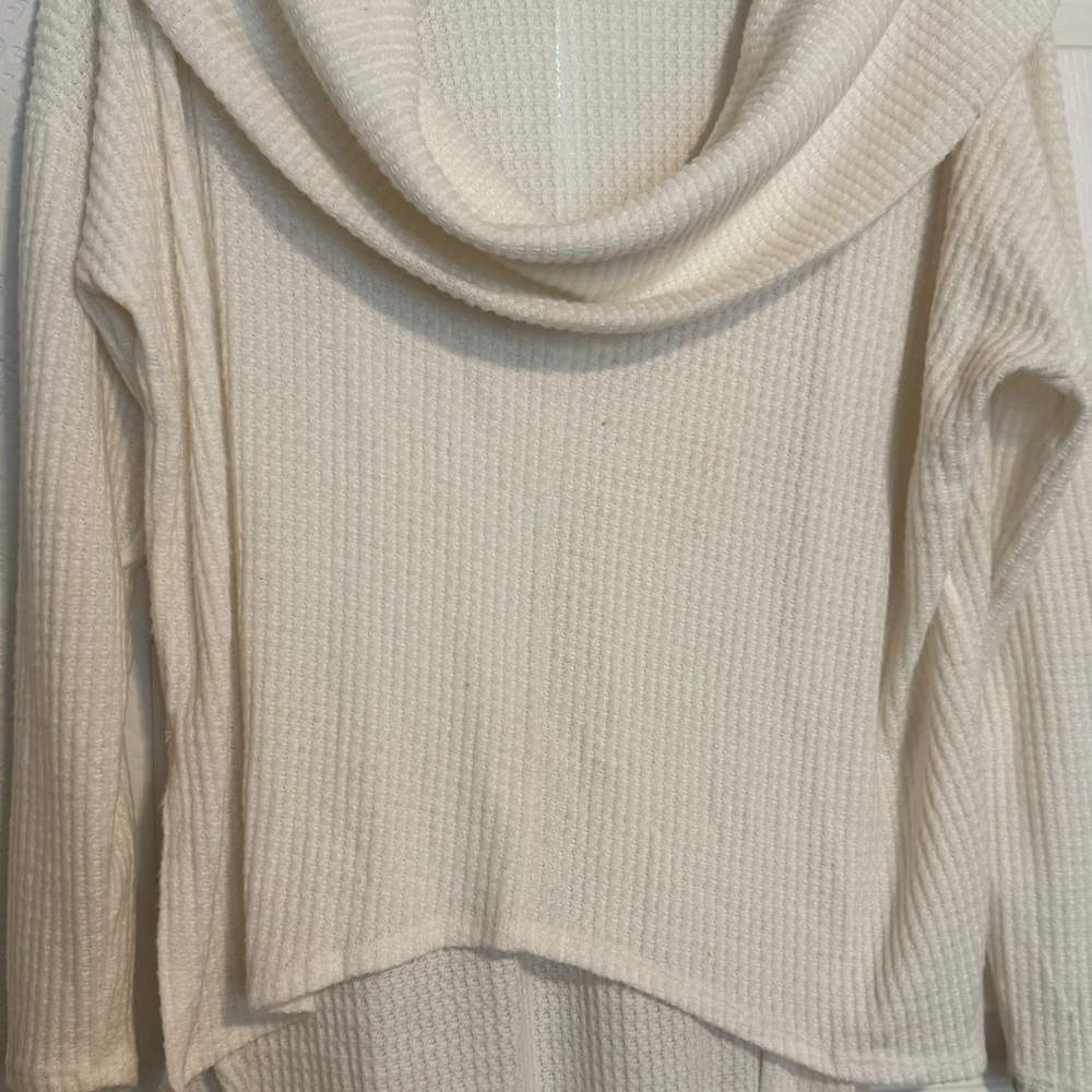 Hummingbird Elegant Cream Turtleneck Sweater